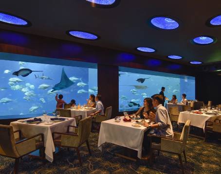 Ocean Restaurant