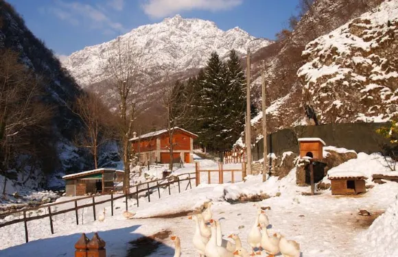 維奇亞克奧德利亞農家樂