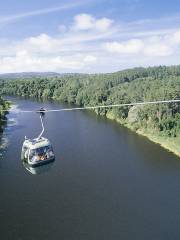 Skyrail Rainforest Cableway