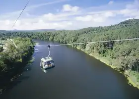 Skyrail Rainforest Cableway