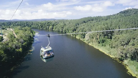 Skyrail Rainforest Cableway