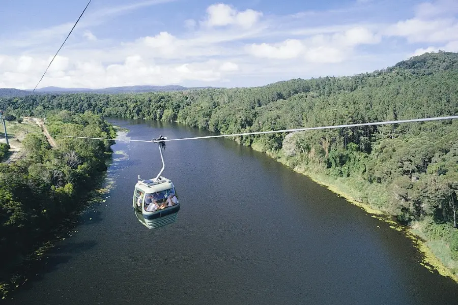 Skyrail Rainforest Cableway