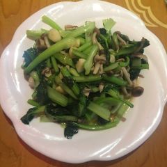 V·sherry User Photo