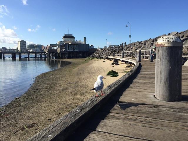 St Kilda Beach