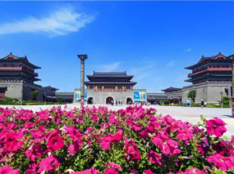 Fioriture Primaverili a Linqu: le opzioni più popolari