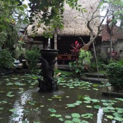 Bebek Bengil Ubud User Photo
