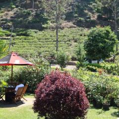 BlueField Tea Restaurant User Photo