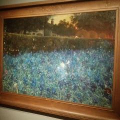 Rijksmuseum User Photo