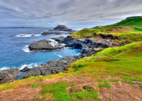 Phillip Island Nature Parks