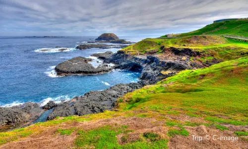 Phillip Island Nature Parks
