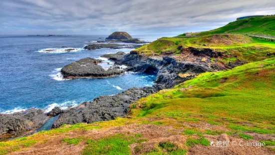 Phillip Island Nature Parks