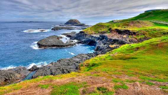 Phillip Island Nature Parks