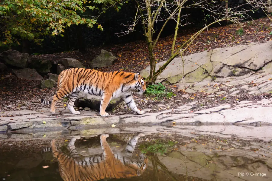 Giardino zoologico di Zurigo