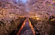 Meguro River