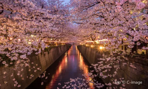 Meguro River