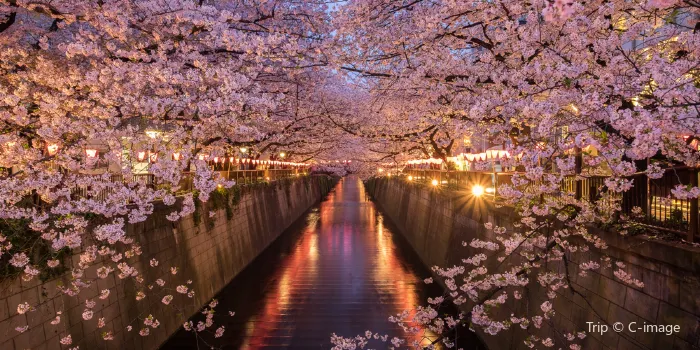 Meguro River image 0
