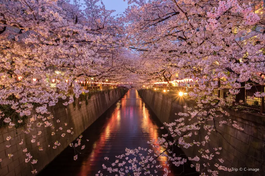 Meguro River