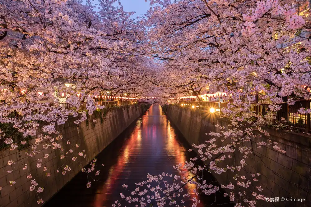 Hotels near Meguro River