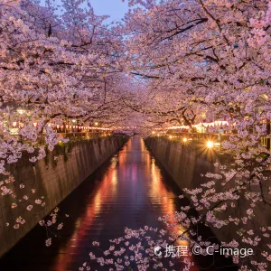 目黑川