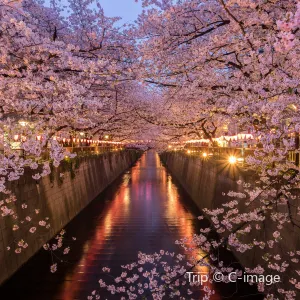 目黑川