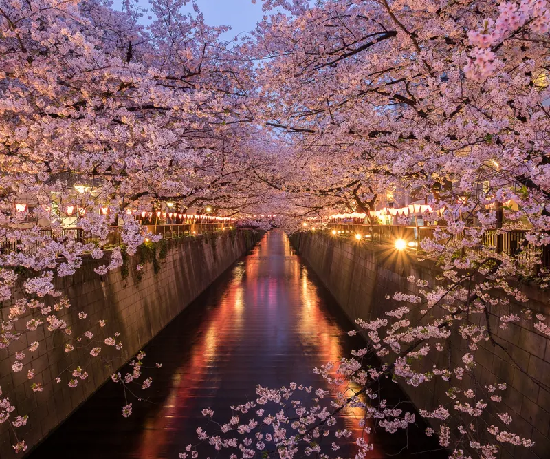 目黑川