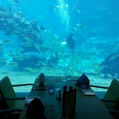 Aqua - Aquarium Restaurant User Photo