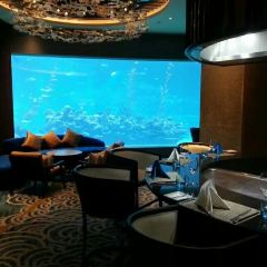 Aqua - Aquarium Restaurant User Photo