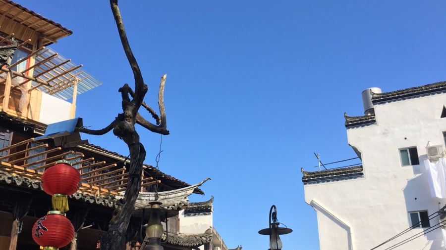 光明茶楼(传统徽菜李坑店)