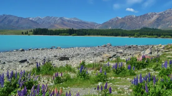 lake tekapo tavern