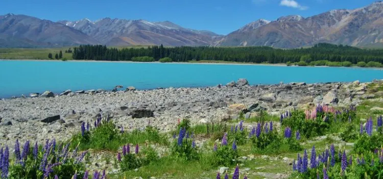 Lake Tekapo Tavern