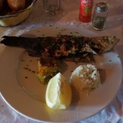 Resto Zayna User Photo