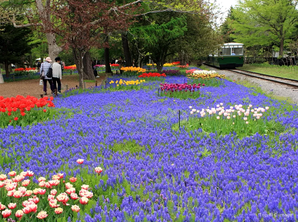 2_百合之原公園