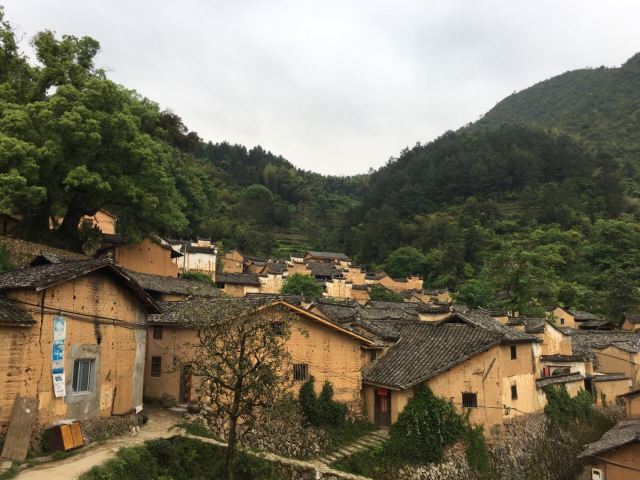 楊家堂村