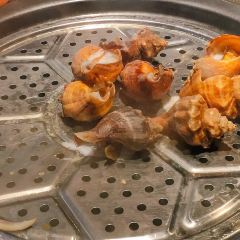 苏大嘴海鲜蒸锅.小火锅(中山店) User Photo