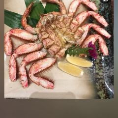 SushiYotsuba User Photo