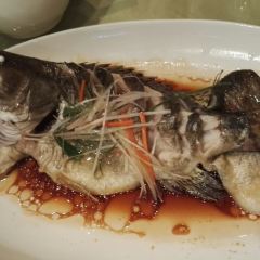 LINGXUANGE User Photo