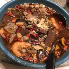 WANG TING FAN DIAN User Photo