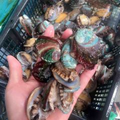 And the sea User Photo