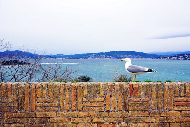 Ile Sainte-Marguerite