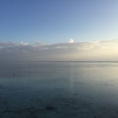 瑞喜敦島海景餐廳張用戶圖片