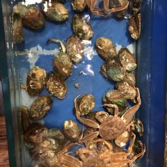 96號海蒸鲜·海鲜牧场(天主教堂·栈桥店) User Photo