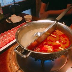 鼎王麻辣鍋(高雄七賢店) User Photo