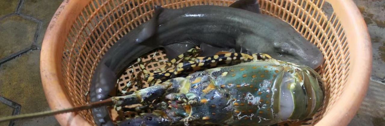 Seafood restaurant Mr Crab