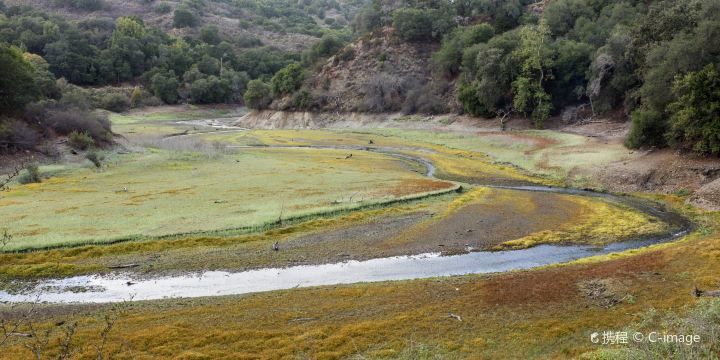 Stevens Creek Trail