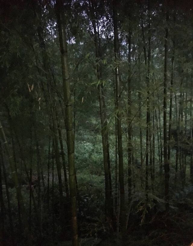 대학연못