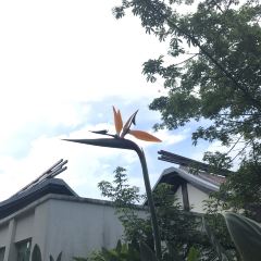 海南香水湾君澜度假酒店·桃源小馆中餐厅 User Photo