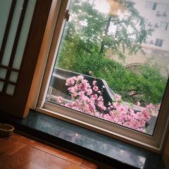 全州拌飯館張用戶圖片