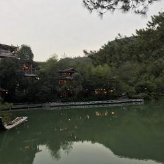 仙店农庄(湖景农庄餐厅) User Photo
