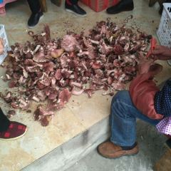 BA HE YU ZHUANG User Photo