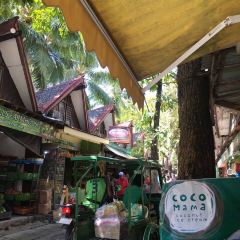 Coco Mama User Photo
